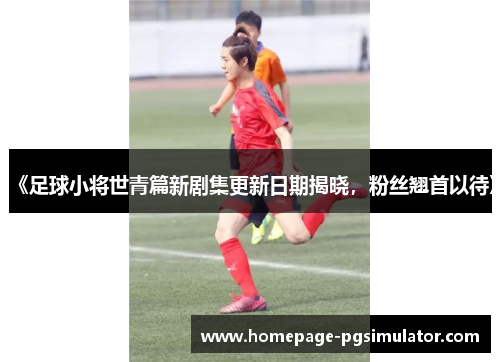 《足球小将世青篇新剧集更新日期揭晓，粉丝翘首以待》