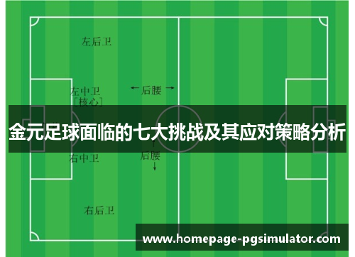 金元足球面临的七大挑战及其应对策略分析 金元足球面临的七大挑战及其应对策略分析