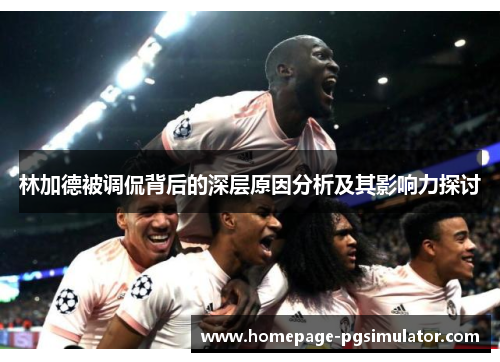 林加德被调侃背后的深层原因分析及其影响力探讨 林加德被调侃背后的深层原因分析及其影响力探讨