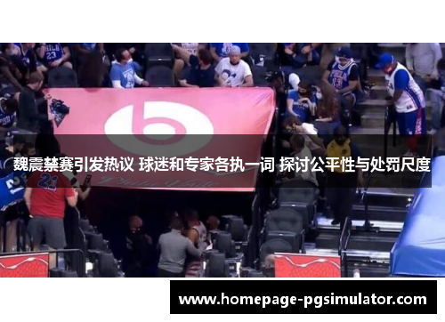 魏震禁赛引发热议 球迷和专家各执一词 探讨公平性与处罚尺度