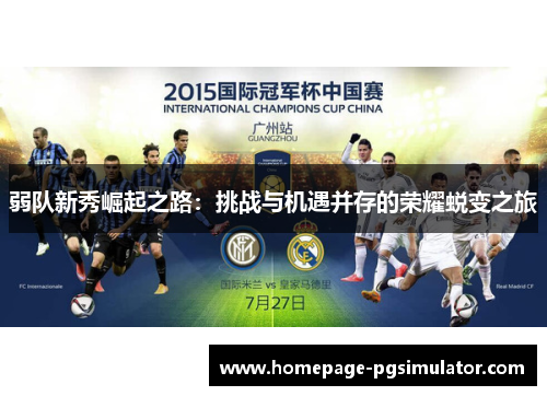 弱队新秀崛起之路：挑战与机遇并存的荣耀蜕变之旅