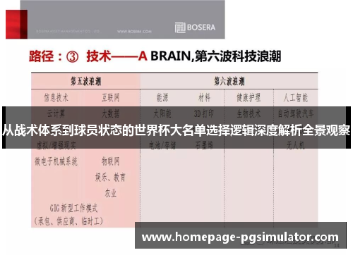 从战术体系到球员状态的世界杯大名单选择逻辑深度解析全景观察