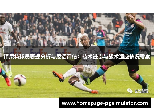 泽尼特球员表现分析与反馈评估：技术进步与战术适应情况考察
