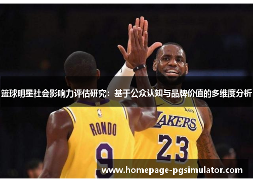篮球明星社会影响力评估研究：基于公众认知与品牌价值的多维度分析